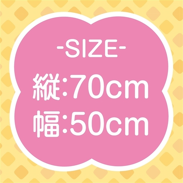 �v�����g�C���T�[�g�G�A�s���[�@�i�Q�@�ΉY�q�j